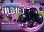 Жевательная резинка 22 мм "Индиго"