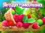 Жевательная резинка 24 мм "Ягода-малина"